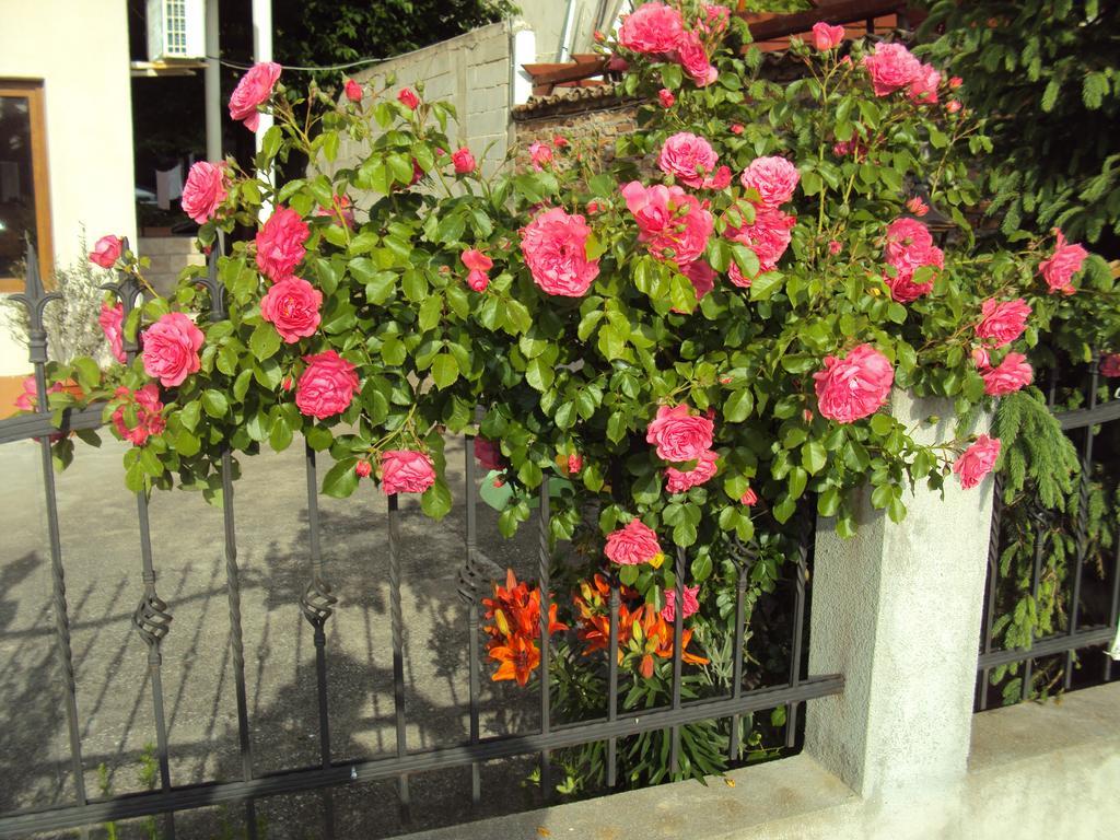 Amfora Guest House Byala  Exterior photo