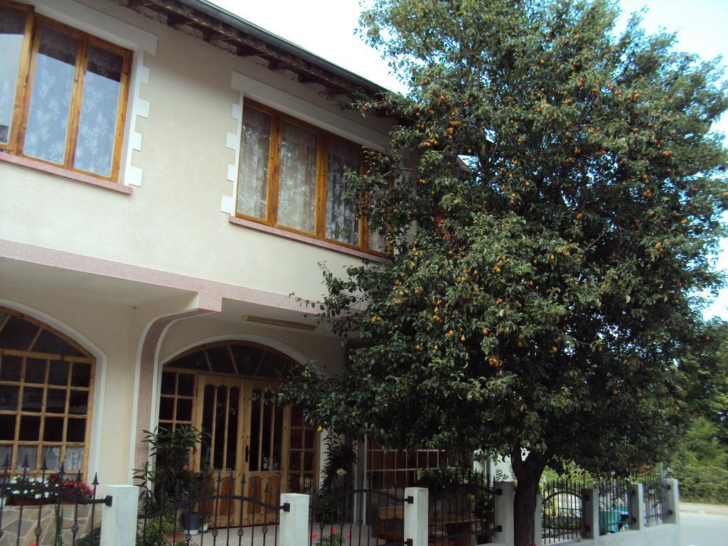 Amfora Guest House Byala  Exterior photo