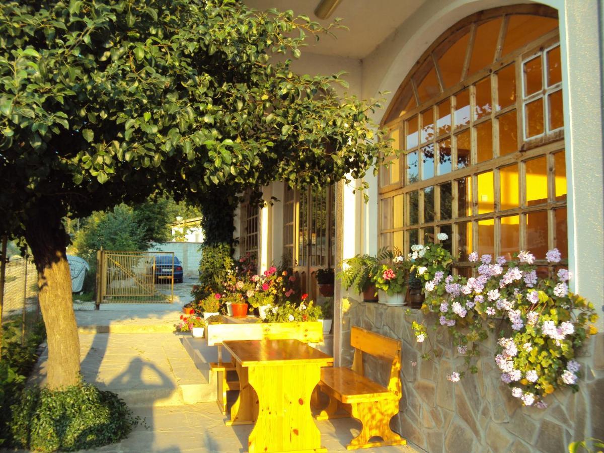 Amfora Guest House Byala  Exterior photo